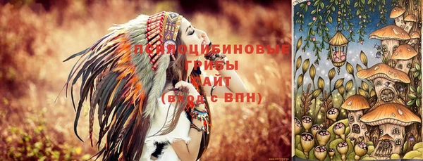 ECSTASY Инта