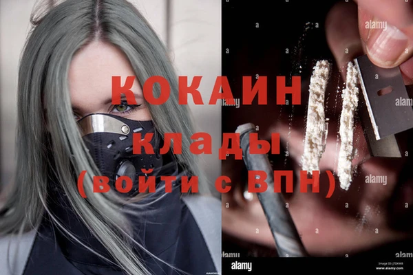 ECSTASY Инта